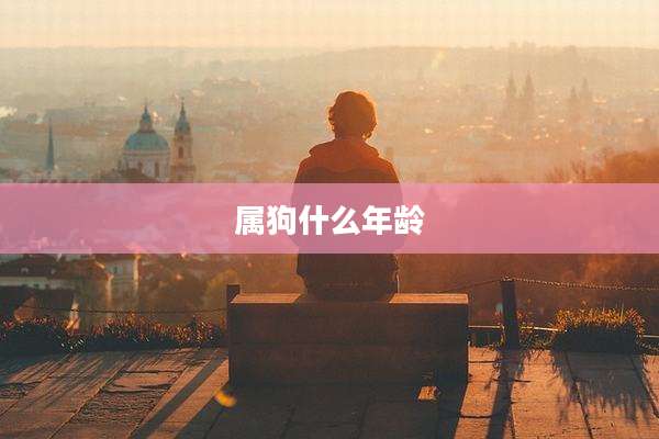 属狗什么年龄