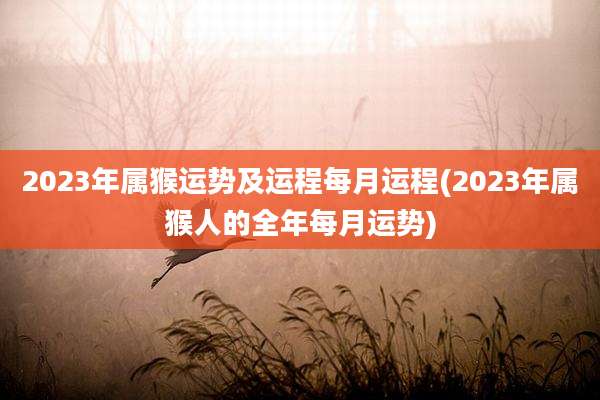 2023年属猴运势及运程每月运程(2023年属猴人的全年每月运势)