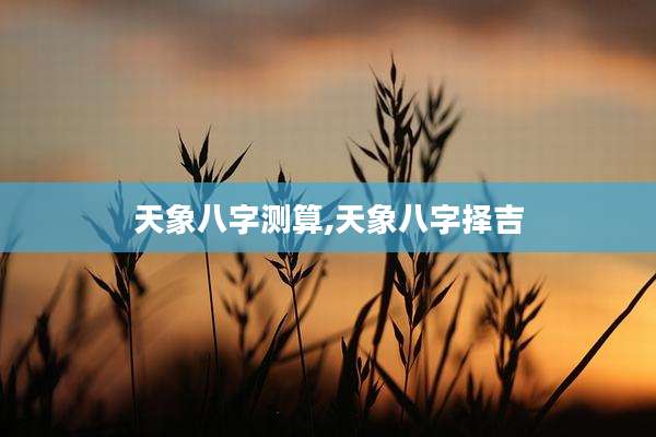天象八字测算,天象八字择吉