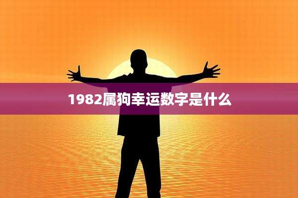 1982属狗幸运数字是什么
