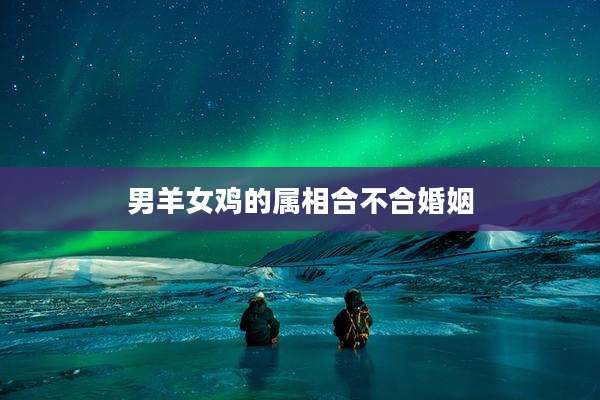 男羊女鸡的属相合不合婚姻