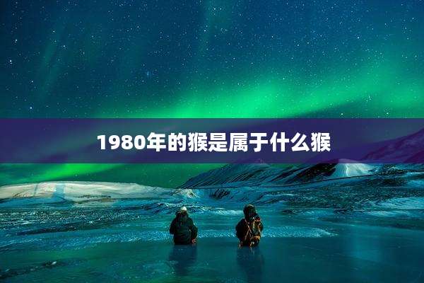 1980年的猴是属于什么猴