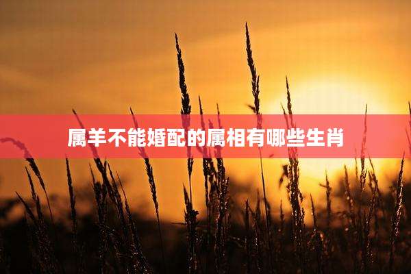 属羊不能婚配的属相有哪些生肖