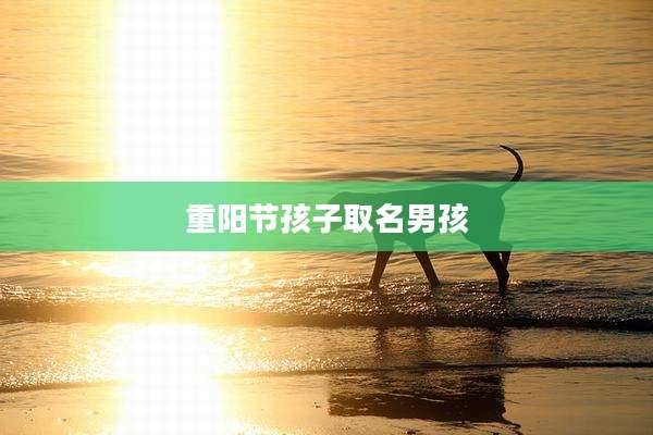重阳节孩子取名男孩