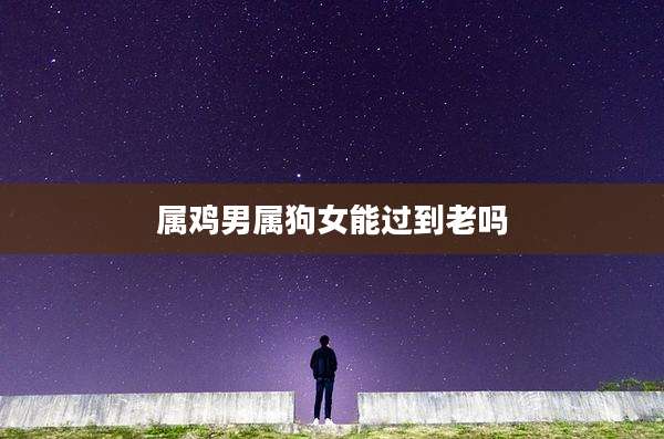 属鸡男属狗女能过到老吗
