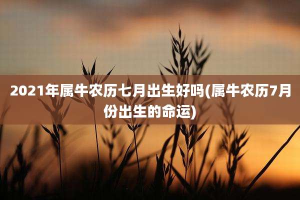 2021年属牛农历七月出生好吗(属牛农历7月份出生的命运)