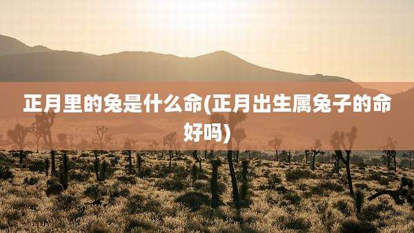 正月里的兔是什么命(正月出生属兔子的命好吗)