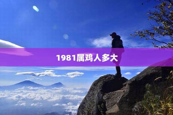 1981属鸡人多大
