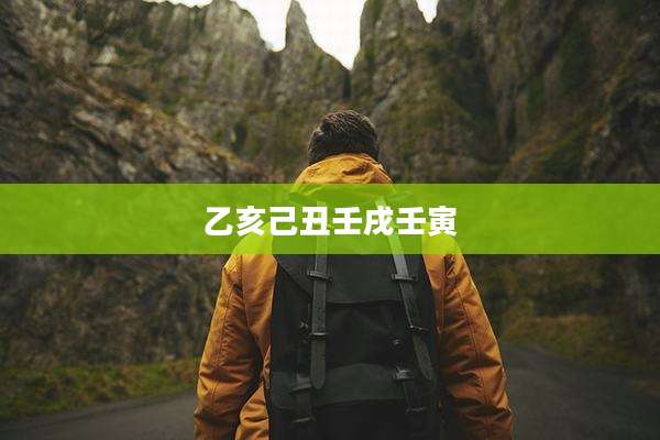 乙亥己丑壬戌壬寅