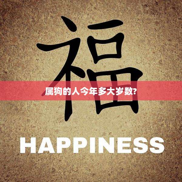 属狗的人今年多大岁数?