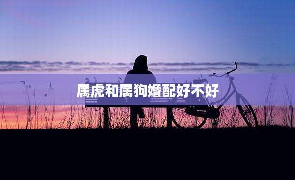 属虎和属狗婚配好不好