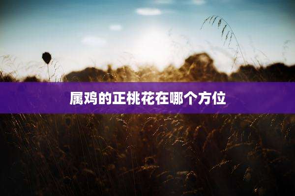 属鸡的正桃花在哪个方位