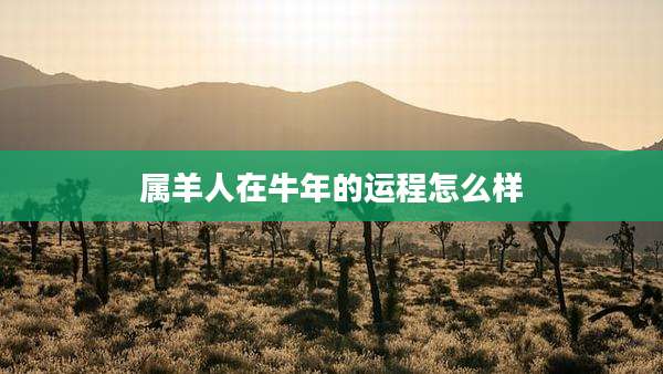 属羊人在牛年的运程怎么样