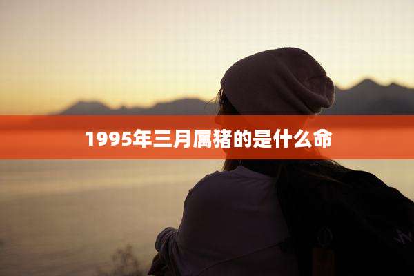 1995年三月属猪的是什么命