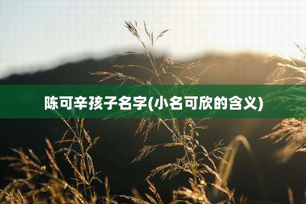 陈可辛孩子名字(小名可欣的含义)