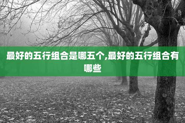 最好的五行组合是哪五个,最好的五行组合有哪些