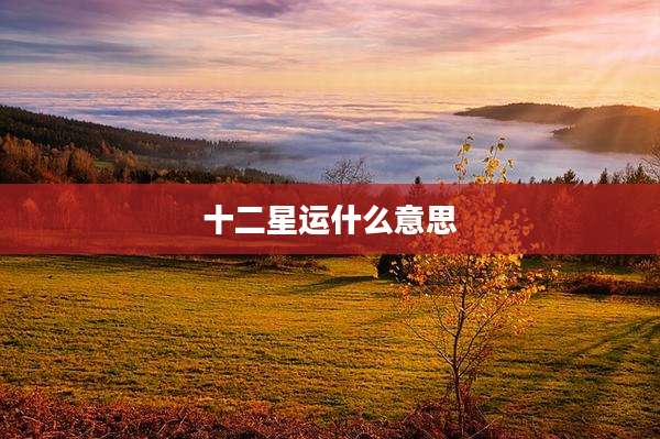 十二星运什么意思