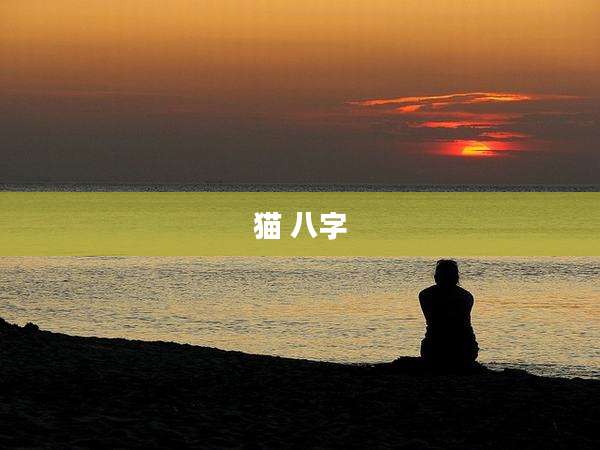 猫 八字