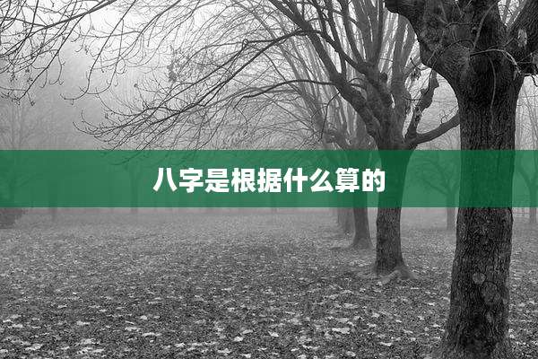 八字是根据什么算的