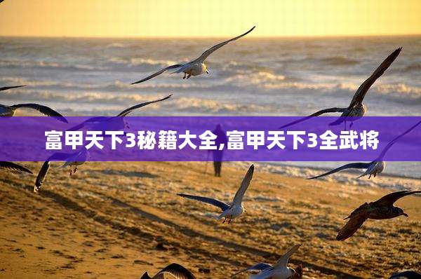 富甲天下3秘籍大全,富甲天下3全武将