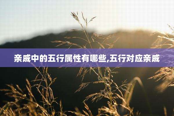 亲戚中的五行属性有哪些,五行对应亲戚