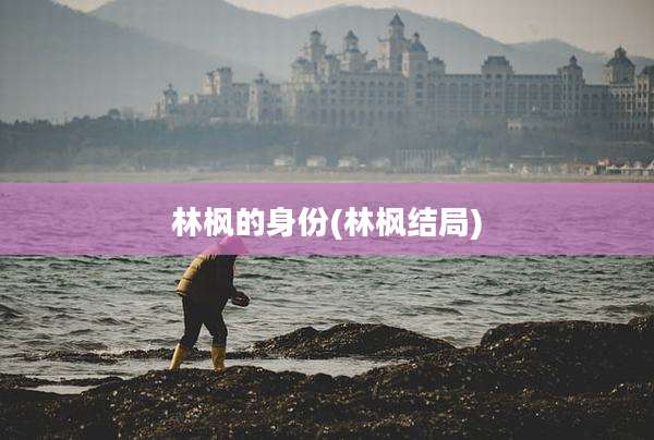 林枫的身份(林枫结局)