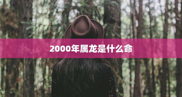 2000年属龙是什么命