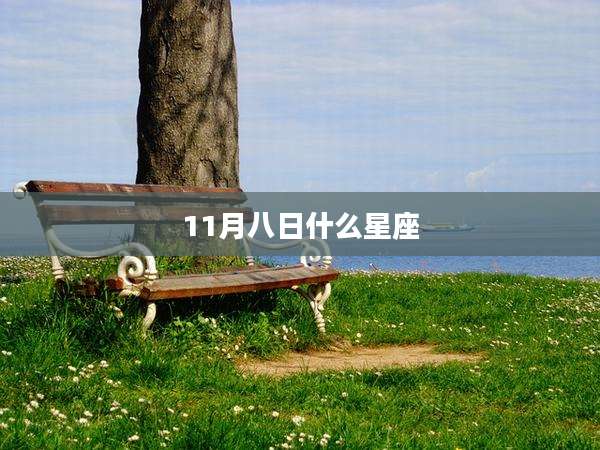 11月八日什么星座