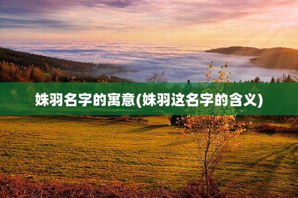 姝羽名字的寓意(姝羽这名字的含义)