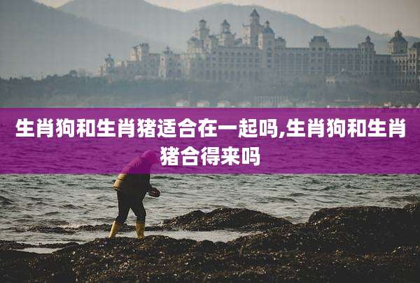 生肖狗和生肖猪适合在一起吗,生肖狗和生肖猪合得来吗