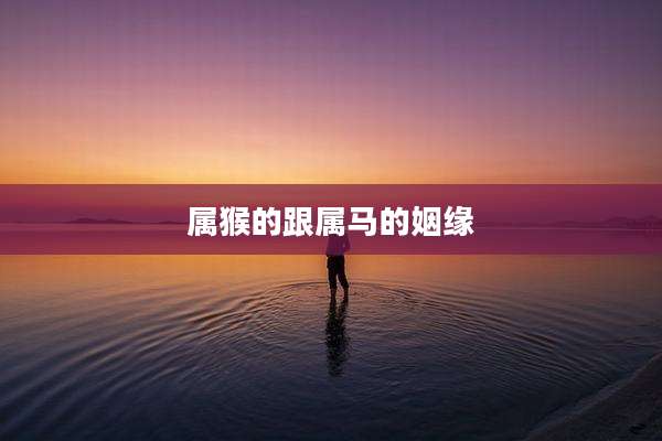 属猴的跟属马的姻缘