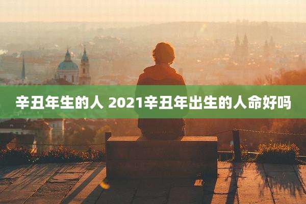 辛丑年生的人 2021辛丑年出生的人命好吗