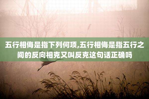 五行相侮是指下列何项,五行相侮是指五行之间的反向相克又叫反克这句话正确吗