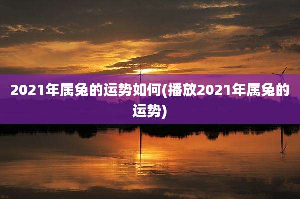 2021年属兔的运势如何(播放2021年属兔的运势)
