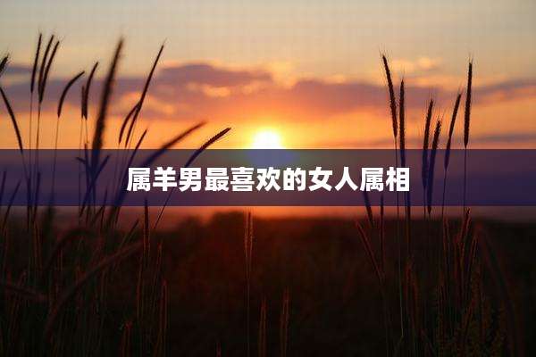 属羊男最喜欢的女人属相