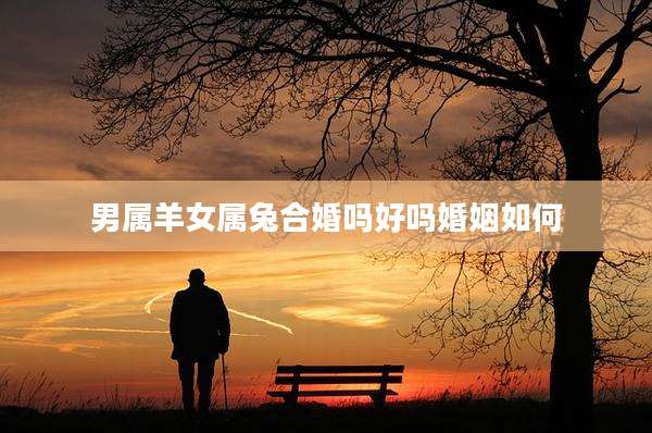 男属羊女属兔合婚吗好吗婚姻如何