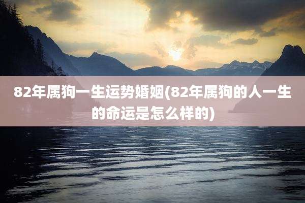 82年属狗一生运势婚姻(82年属狗的人一生的命运是怎么样的)