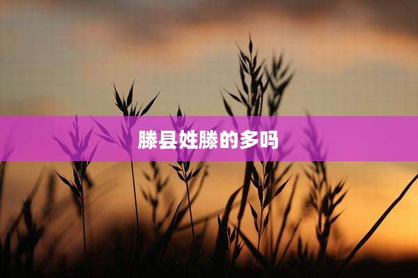 滕县姓滕的多吗