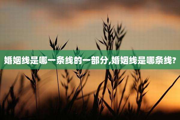 婚姻线是哪一条线的一部分,婚姻线是哪条线?