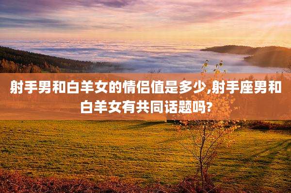 射手男和白羊女的情侣值是多少,射手座男和白羊女有共同话题吗?