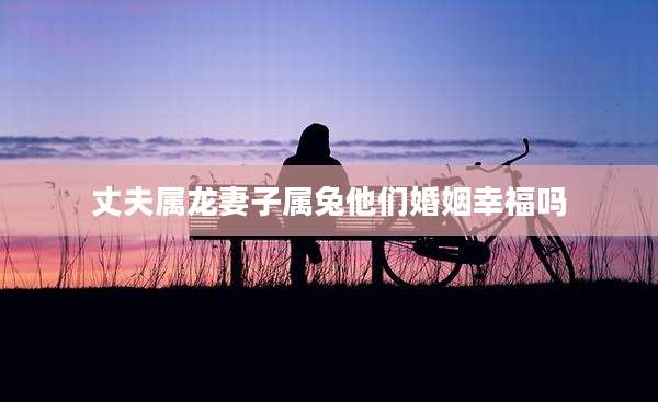 丈夫属龙妻子属兔他们婚姻幸福吗