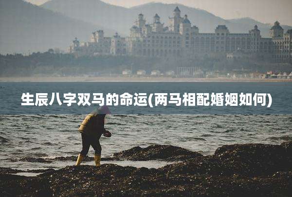 生辰八字双马的命运(两马相配婚姻如何)