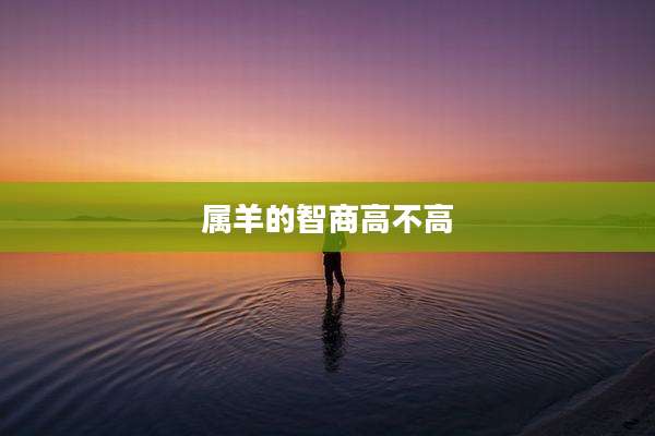 属羊的智商高不高