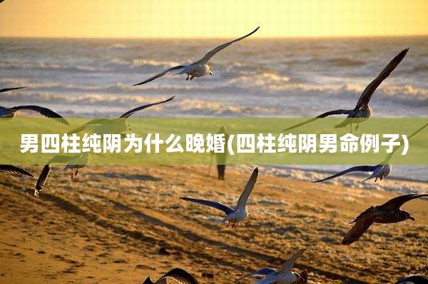 男四柱纯阴为什么晚婚(四柱纯阴男命例子)
