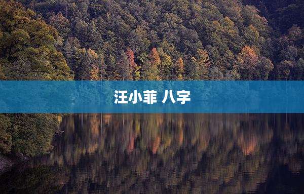 汪小菲 八字