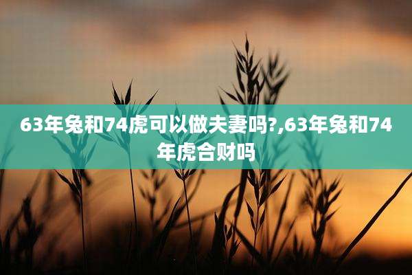 63年兔和74虎可以做夫妻吗?,63年兔和74年虎合财吗