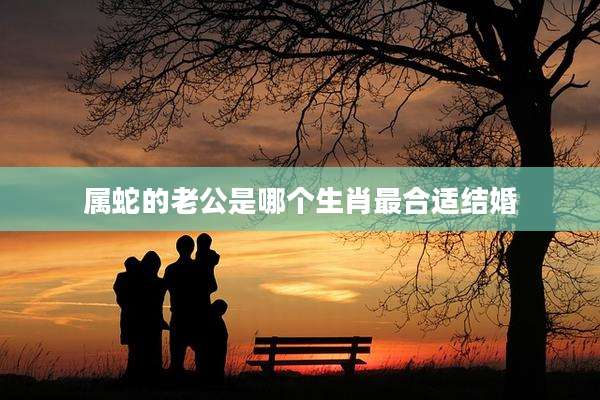 属蛇的老公是哪个生肖最合适结婚