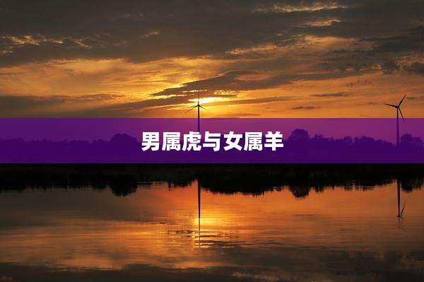 男属虎与女属羊