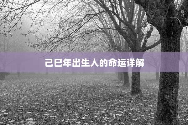 己巳年出生人的命运详解