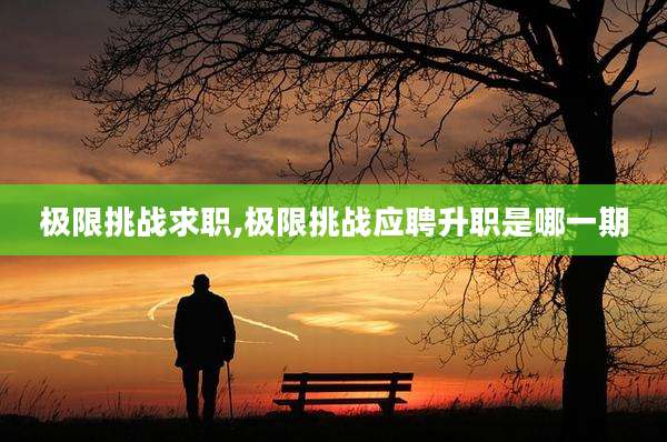 极限挑战求职,极限挑战应聘升职是哪一期
